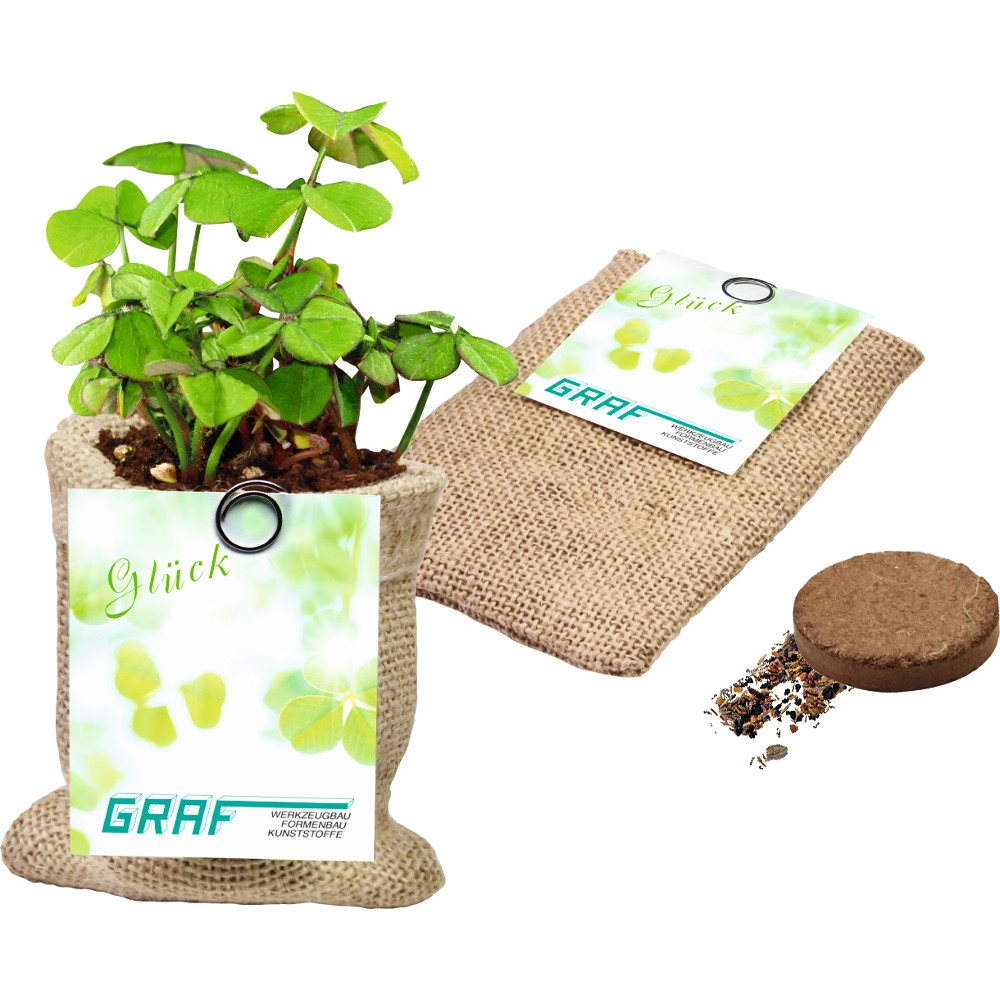 Persian clover in a bag | Eco gift